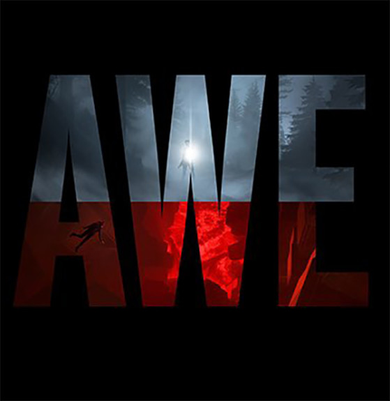 Le logo d'AWE - Millenium