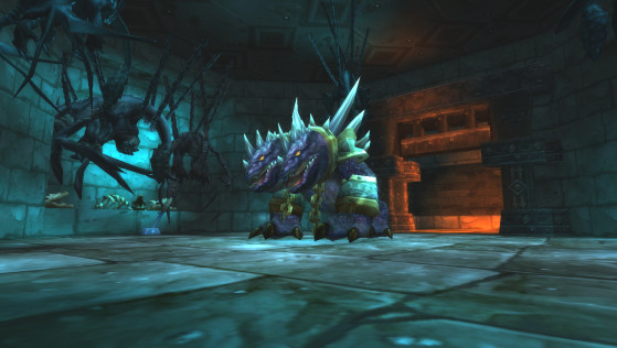 Chromaggus - World of Warcraft