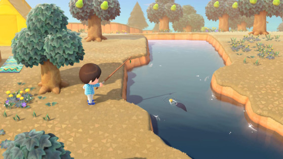 Animal Crossing New Horizons : liste des poissons de décembre hémisphère nord et sud