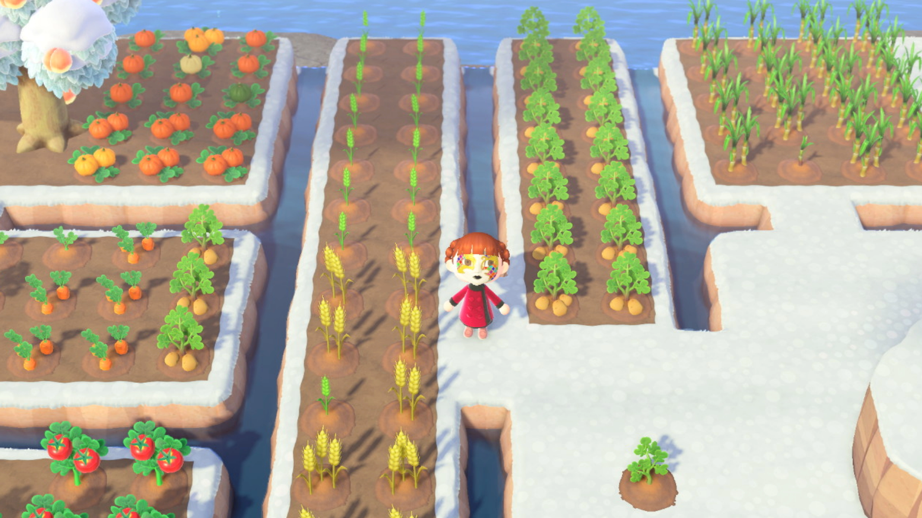 Comment cuisiner dans Animal Crossing New Horizons et devenir l'as des