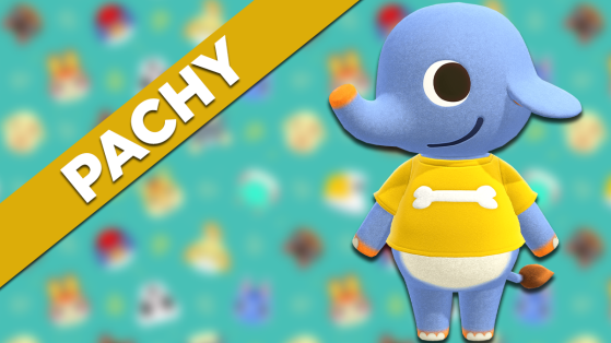 Pachy Animal Crossing New Horizons : tout savoir sur cet habitant