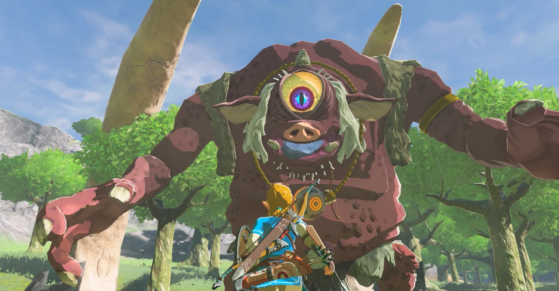Zelda Breath of the Wild - Millenium