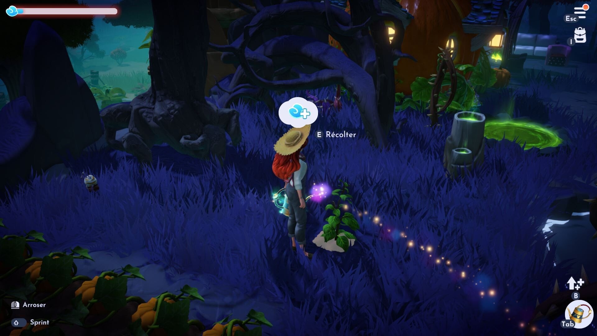 Patate Verte Disney Dreamlight Valley Où trouver les 16 bouteilles émeraude pour obtenir la
