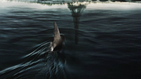 'L'un des meilleurs films de requins jamais réalisés', ce nouveau film sur Netflix fait déjà un carton et les fans le comparent même aux Dents de la Mer