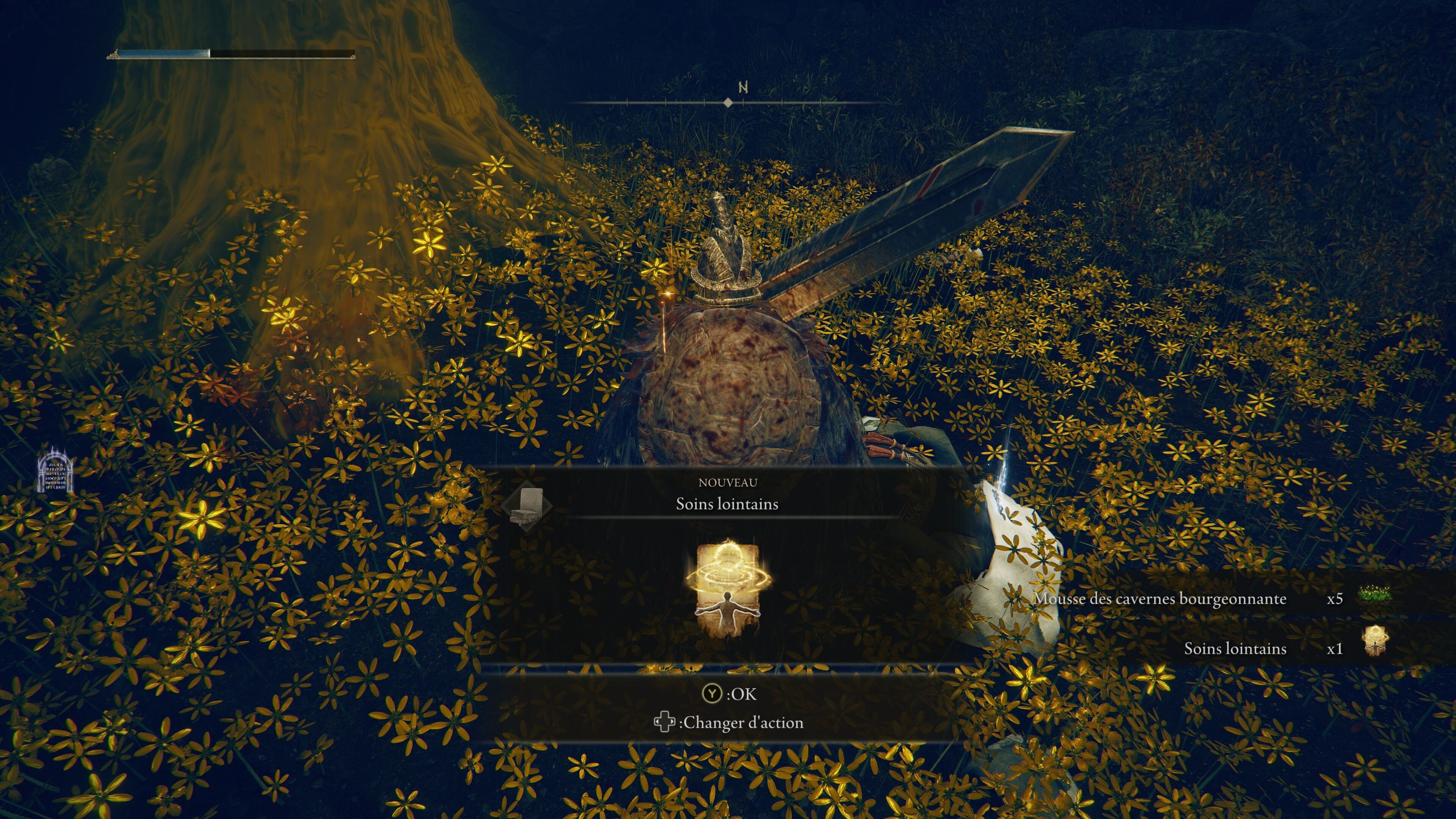 Meilleures Incantations Elden Ring DLC Lesquelles utiliser et où les trouver dans Shadow of