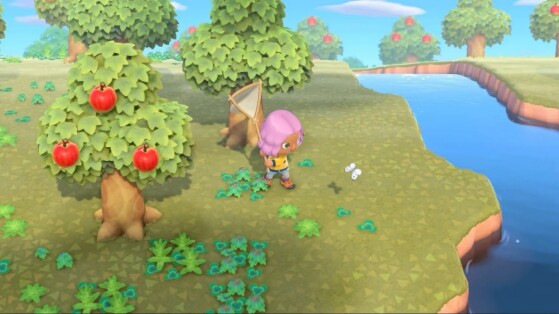 4 ans après la sortie d'Animal Crossing New Horizons, des joueurs découvrent une fonctionnalité liée aux insectes du jeu