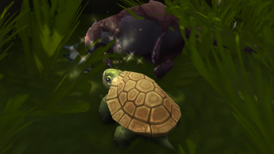 Tortue d'égout de Dalaran WoW : Où trouver obtenir le trésor Gratitude de la tortue ?