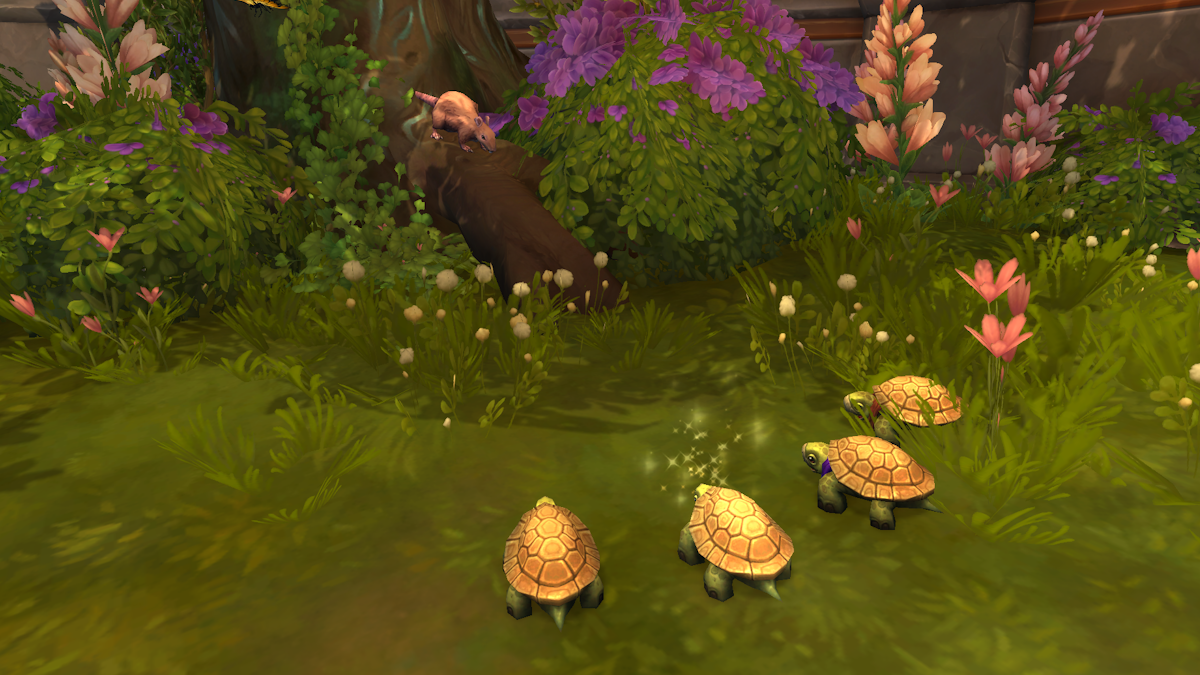 Tortue d'égout de Dalaran WoW : Où trouver obtenir le trésor Gratitude ...