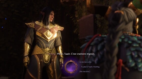 Dragon Age: The Veilguard