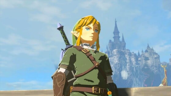 Zelda Tears of the Kingdom ne répond toujours pas à cette grande question des fans