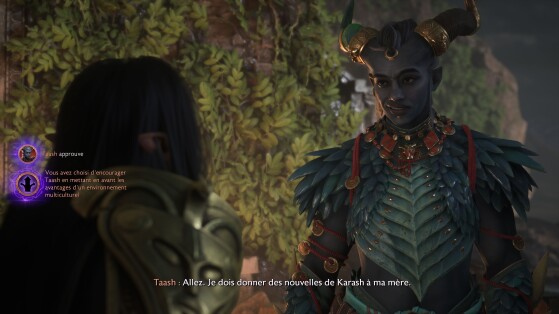 Dragon Age: The Veilguard