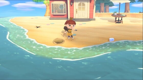 Animal Crossing New Horizons