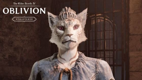 Race Oblivion Remastered : Les meilleurs choix pour bien débuter votre aventure