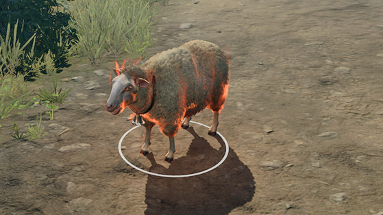 Baldur's Gate 3
