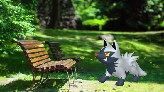 Medhyèna Pokémon GO : Shiny, bonus... Bien profiter de l'heure vedette du 20 mai 2025