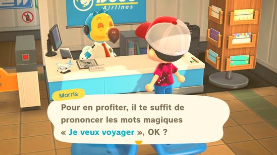 Animal Crossing New Horizons