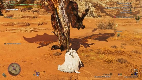Monster Hunter Wilds