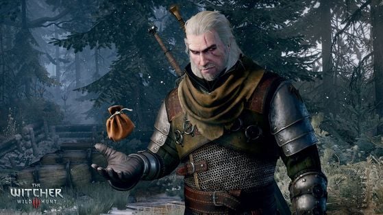 The Witcher 3 : Wild Hunt