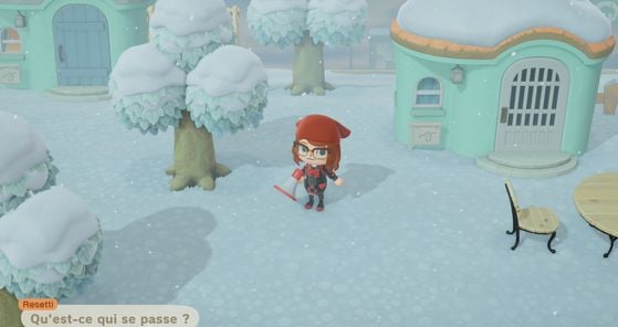 Animal Crossing New Horizons