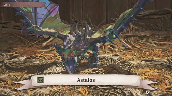 Monster Hunter Stories 3 : Twisted Reflection