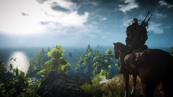 The Witcher 3 : Wild Hunt