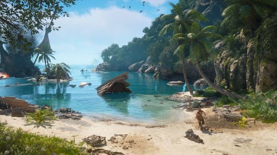 Assassin's Creed Black Flag Resynced