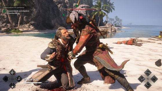 Assassin's Creed Black Flag Resynced