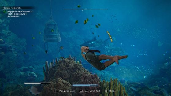 Assassin's Creed Black Flag Resynced