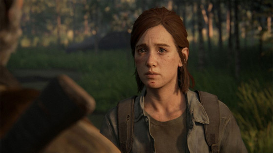 The Last of Us 2 : New Game +, end-game
