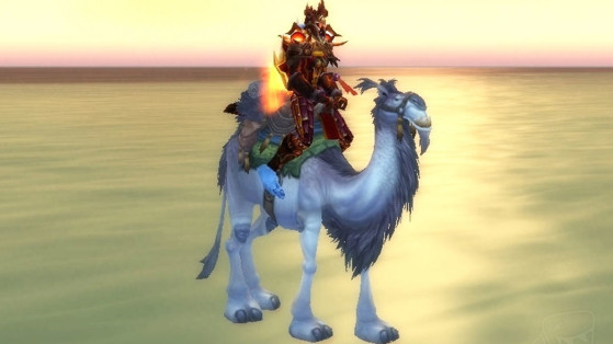 Le Dromadaire blanc - World of Warcraft