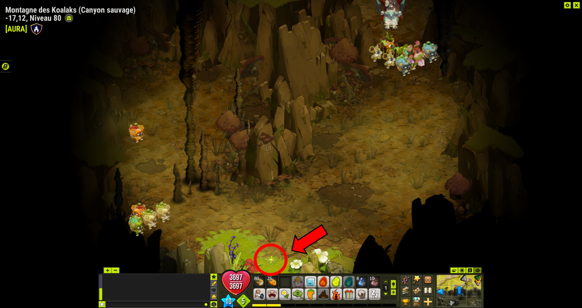 Dofus Chemin Vers La Caverne Du Koulosse La Vall E De La Morh Kitu Et Le Cimeti Re Primitif