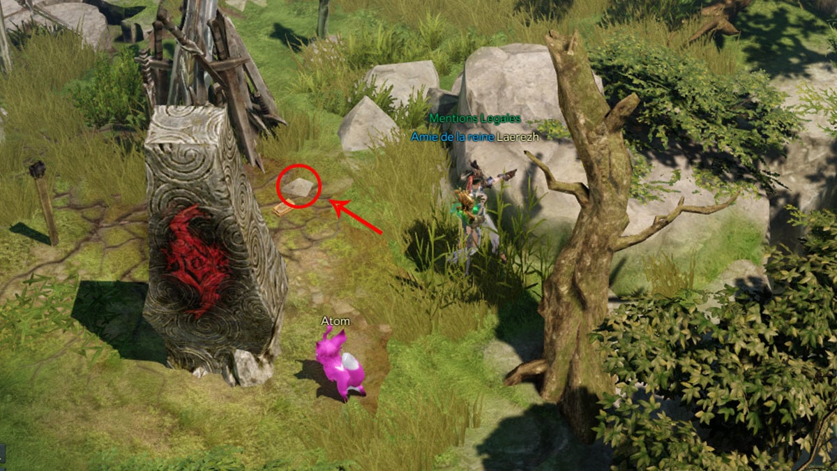 Lost Ark Sous Sol De Rose Noire Mokoko
