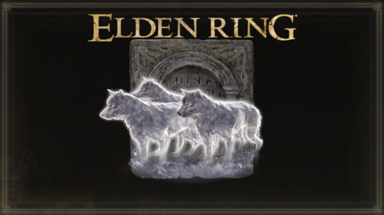 Meilleures Cendres d'invocation Elden Ring : laquelle choisir ?