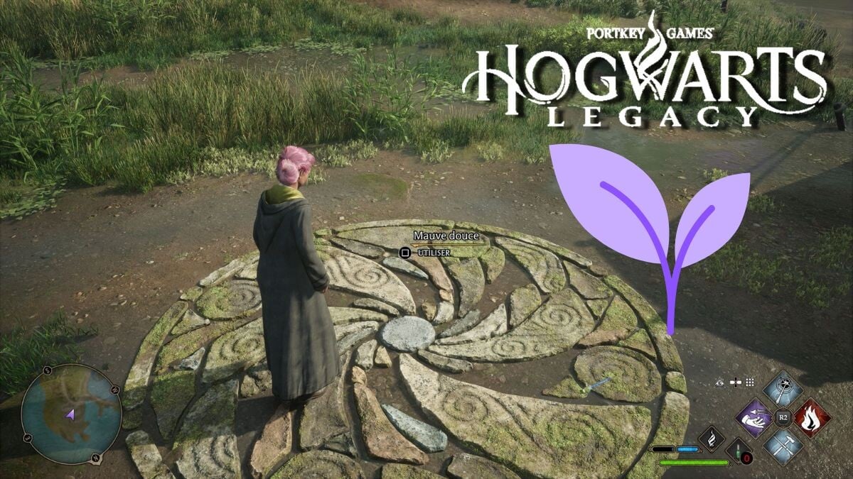 Mauve douce Hogwarts Legacy Où trouver cette plante facilement pour vos épreuves de Merlin