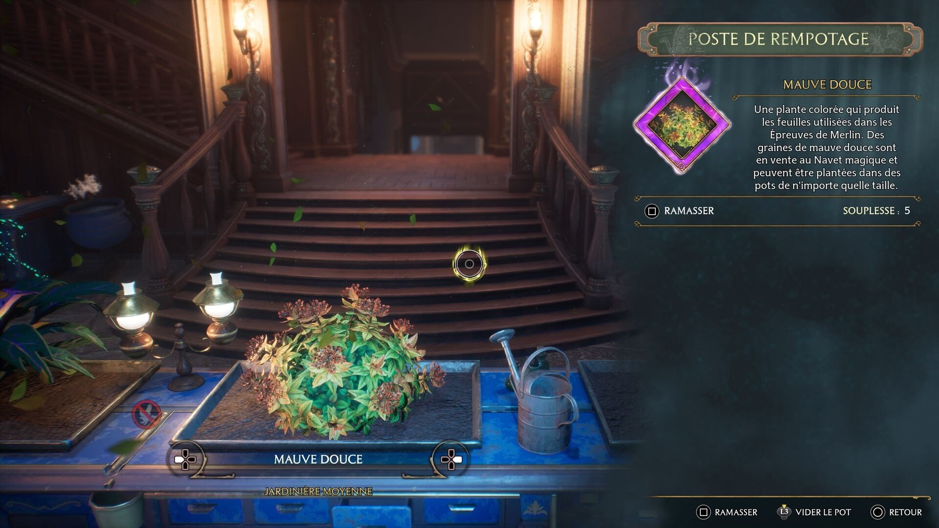 Mauve douce Hogwarts Legacy Où trouver cette plante facilement pour vos épreuves de Merlin