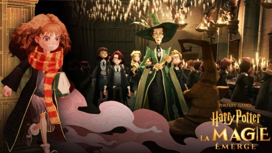 Pull Quidditch Poufsouffle Harry Potter - Jus de citrouille - Boutique pour  sorciers