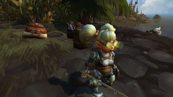 'Ils chantaient les louanges de la dame aux poissons', la femme de ce joueur de WoW a tellement aidé sa guilde qu'elle en est devenue célèbre