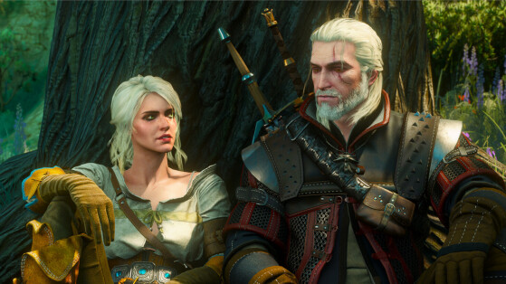 The Witcher 3 : Wild Hunt