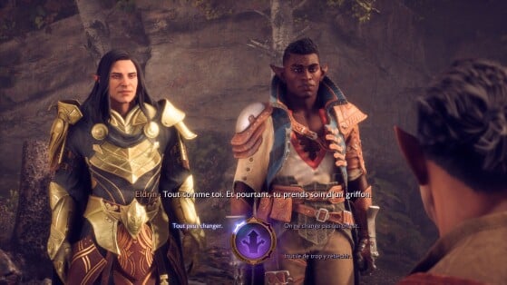 Dragon Age: The Veilguard