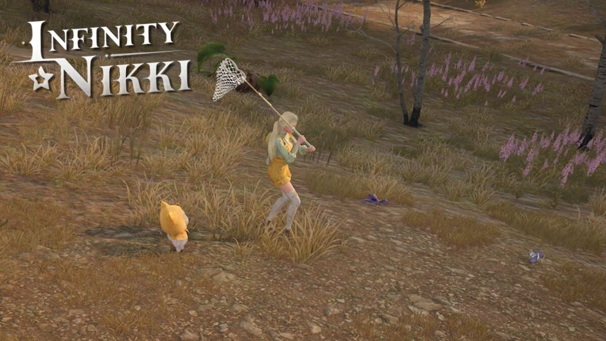 All Insects Infinity Nikki：在哪裡可以找到並捕捉地圖上的每種昆蟲？