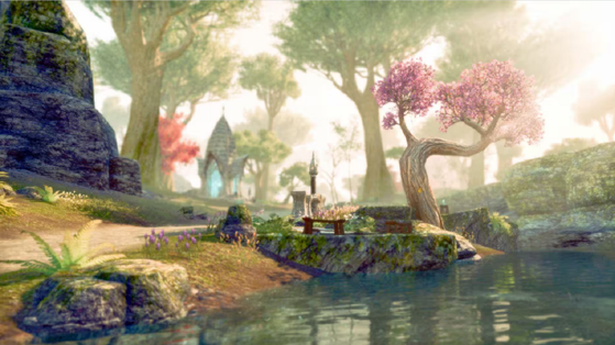 1 an après sa sortie, cette option payante dans ce célèbre MMORPG va enfin devenir 100% gratuite