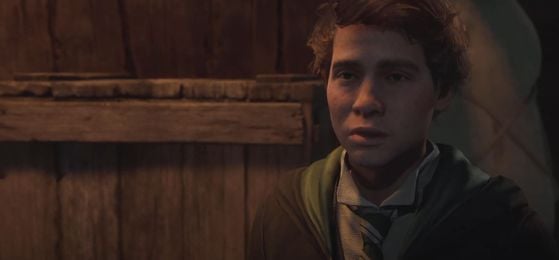 Hogwarts Legacy : L'Héritage de Poudlard