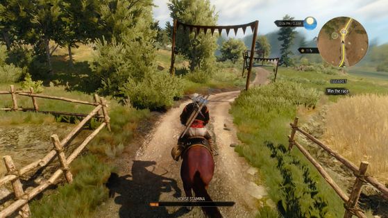 The Witcher 3 : Wild Hunt