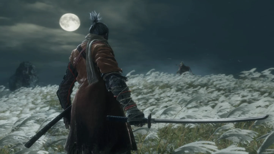 Sekiro : Shadows Die Twice