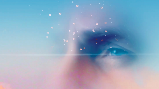 A BETTER PARADISE - Millenium