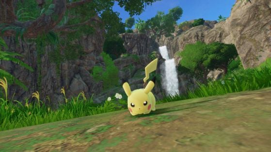 Pokémon Vents et Vagues