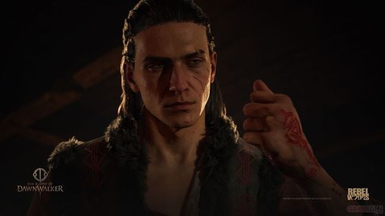 The Blood of Dawnwalker
