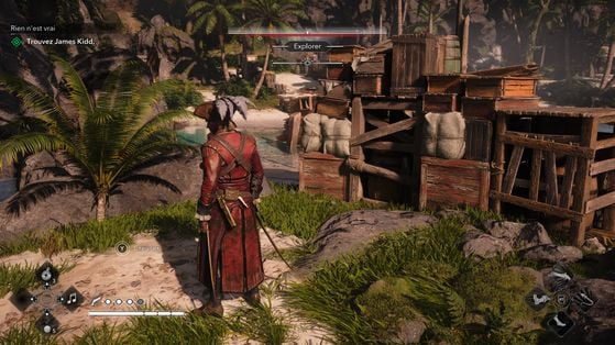 Assassin's Creed Black Flag Resynced