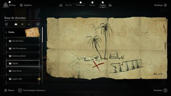 Assassin's Creed Black Flag Resynced