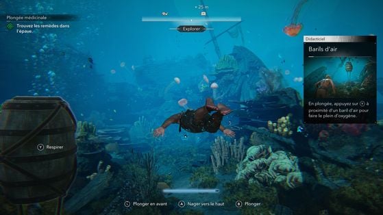 Assassin's Creed Black Flag Resynced